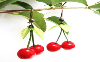 Une paire de boucles d’oreilles cerises