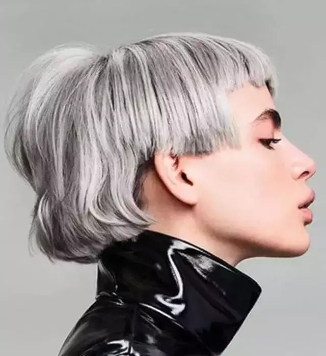 le-gris-poivre-et-sel_Schwarzkopf