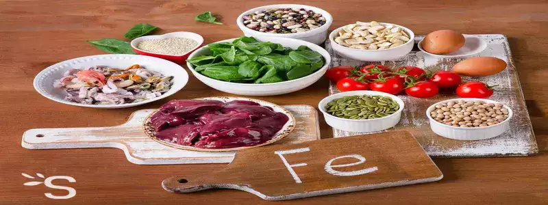 Aliments riches en fer
