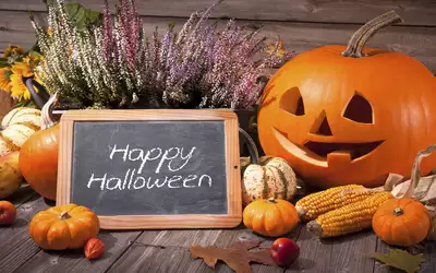Décoration Halloween. Idées déco pour Halloween
